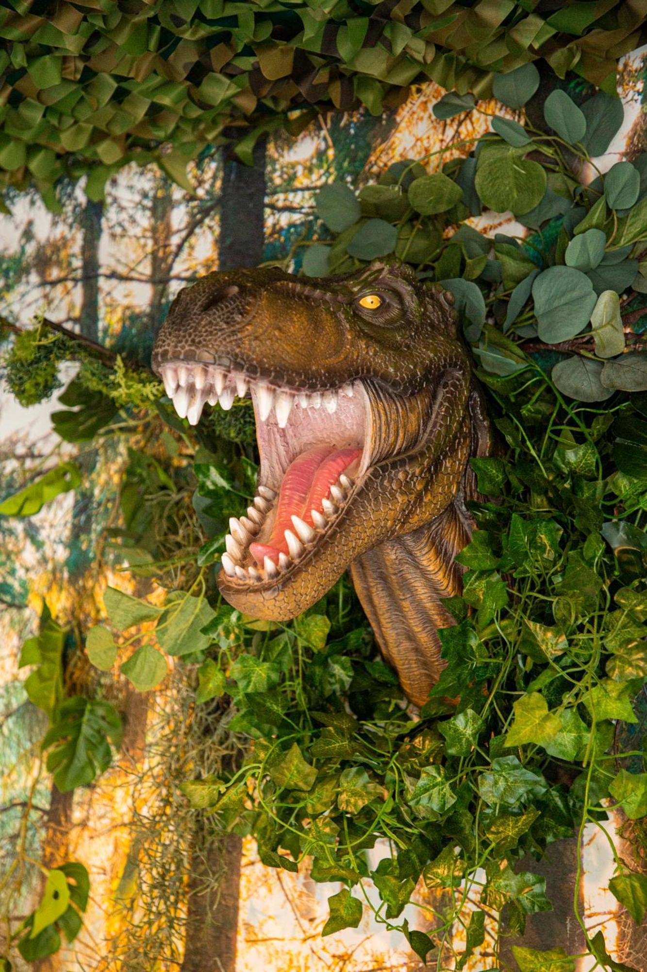 Jurassique Appart Montigny-les-Metz エクステリア 写真